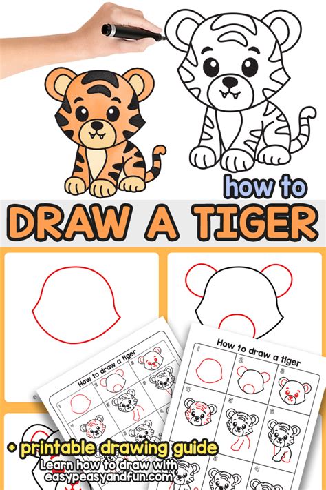 How to Draw a Tiger Easy Step by Step .